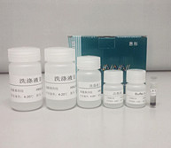 磁珠法细菌基因组DNA提取试剂盒图片
