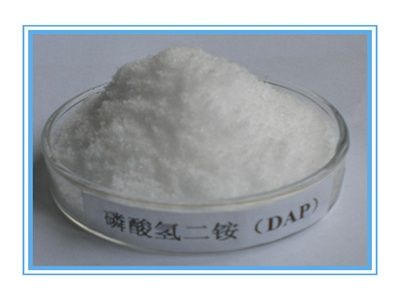 磷酸氢二铵图片