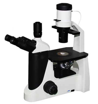 BMM-5300倒置生物显微镜图片