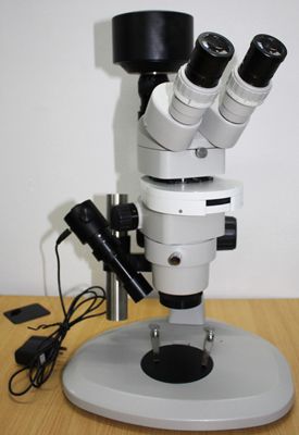 XTM-80 高清体视荧光显微镜图片
