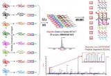 iTRAQ:ͨѧо籩
