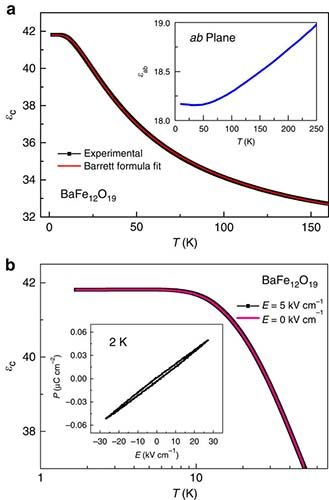 BaFe12O19的低温介电行为