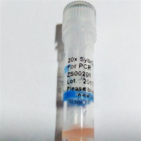 荧光定量PCR用SYBR Greenl (20*)图片