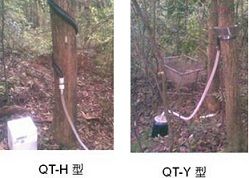 QT-Y或H树干截流采集仪图片