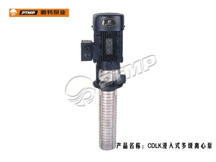 CDLK浸入式多级离心泵图片