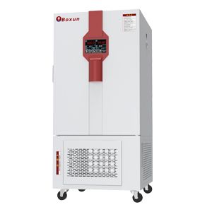 BXZ-250S综合药品稳定性试验箱图片