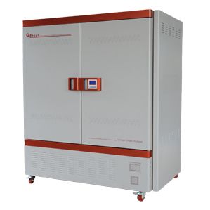 BMJ-800霉菌培养箱图片