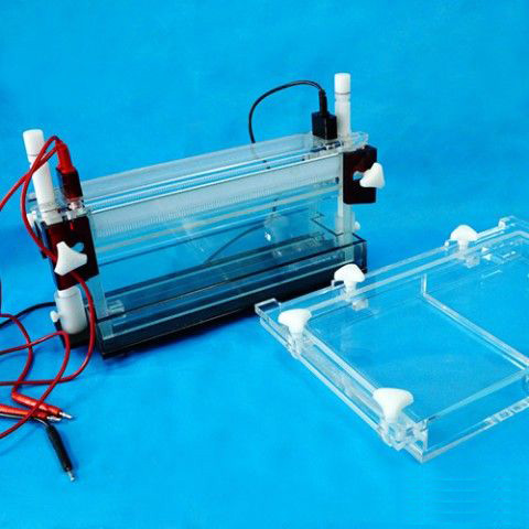 DYCZ-20G型DNA序列分析电泳仪图片