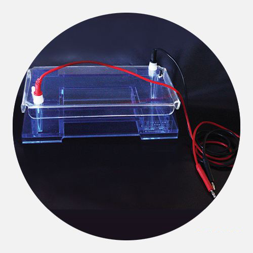 DYCP-32A型琼脂糖水平电泳仪(中号)图片