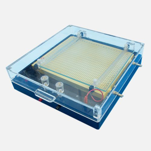 DYCP-37B型等电聚焦电泳仪图片