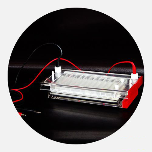 DYCP-44N型快速凝胶电泳仪图片