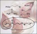 新技术：英国科学家合成大蒜成分阿焦烯，并能大规模生产