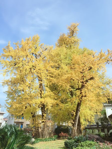 图片3_副本