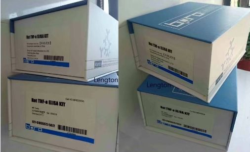 小鼠白介素2(IL-2)ELISA Kit图片
