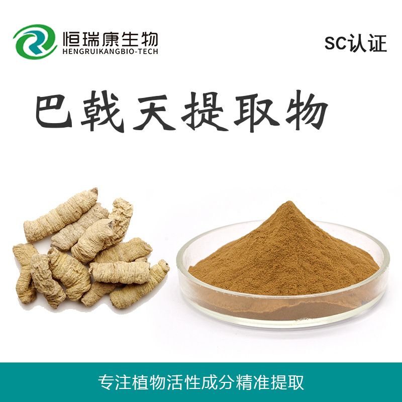 巴戟天提取物图片