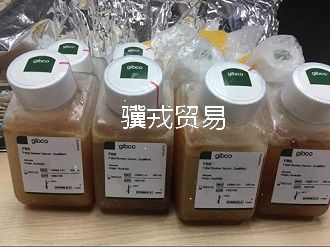 热灭活胎牛血清gibco10100147图片