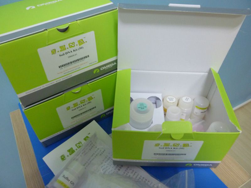 人12羟二十烷四烯酸(12-HETE)elisa试剂盒图片