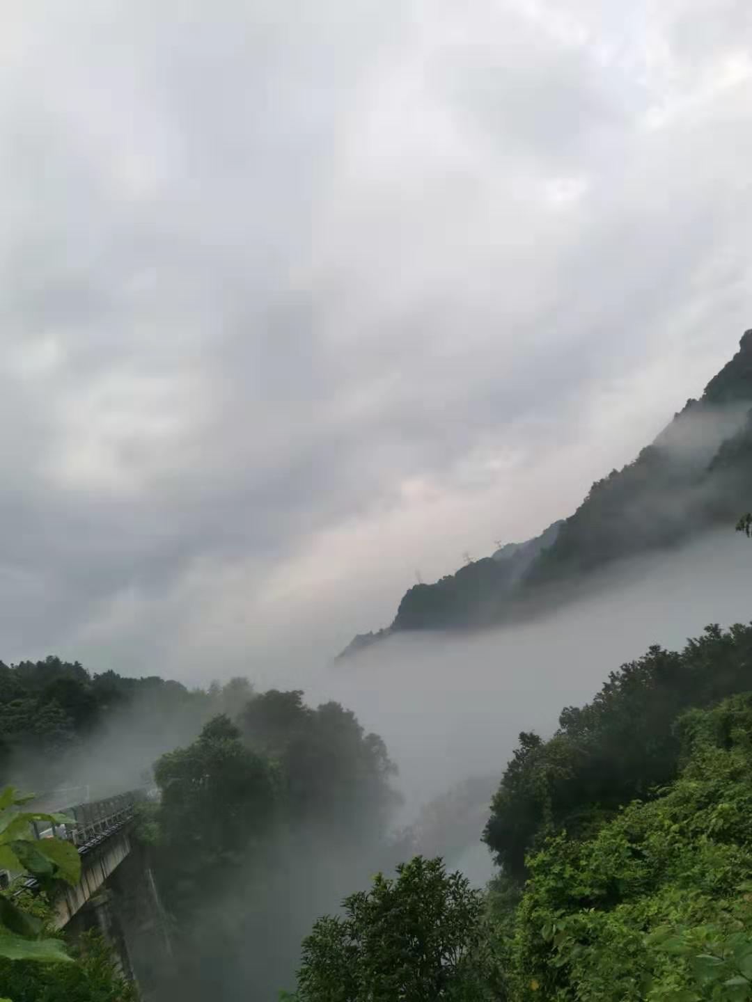微信图片_20190723145031.jpg