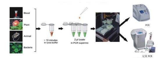 HN禽流感荧光定量PCR(不含反转录)试剂盒图片