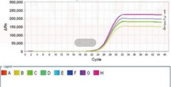 嗜肺军团菌S rRNA基因荧光PCR(探针法)定量试剂盒图片