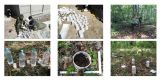 沈阳生态所揭示土壤微生物残留物分解过程