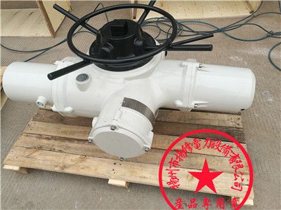 防爆等级CT4执行器EXC.2SA8012罗托克机型图片