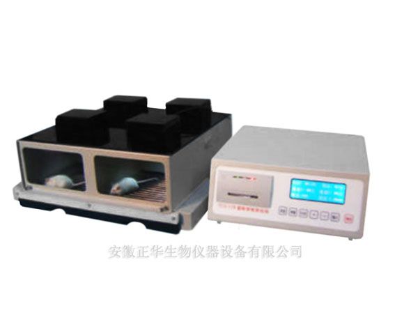 大鼠穿梭箱图片
