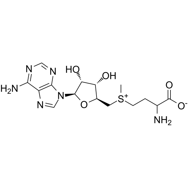S-Adenosyl-DL-methionine图片