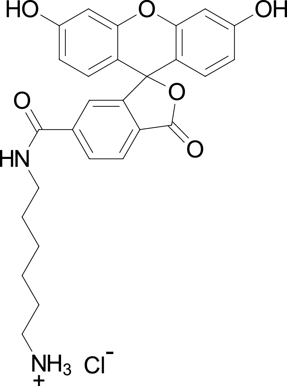 FAM amine,6-isomer图片