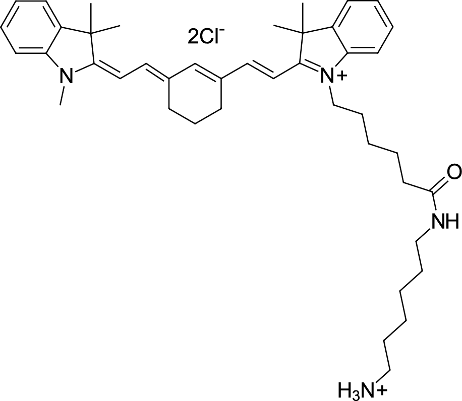 Cyanine7 amine图片