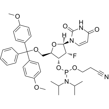DMT-2&primeFluoro-dU Phosphoramidite图片