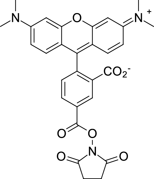 TAMRA NHS ester,5-isomer图片