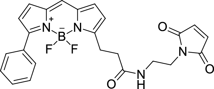 BDP R6G maleimide图片