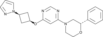 ELOVL1-22图片