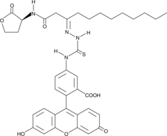 N-dodecanoyl-L-Homoserine lactone-3-hydrazone-fluorescein图片
