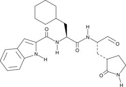 MPro Inhibitor 11a图片