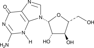 Ara-G图片