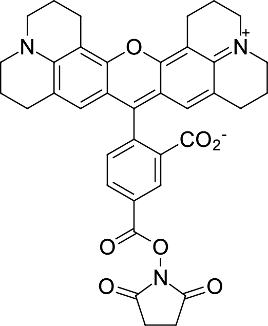 ROX NHS ester,5-isomer图片