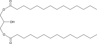 1,3-Dimyristoyl Glycerol图片