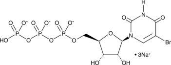 5-Bromouridine 5'-triphosphate(sodium salt)图片