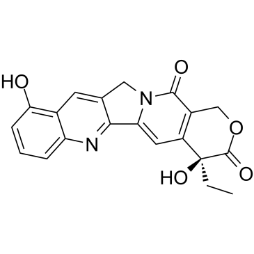 9-Hydroxycamptothecin图片