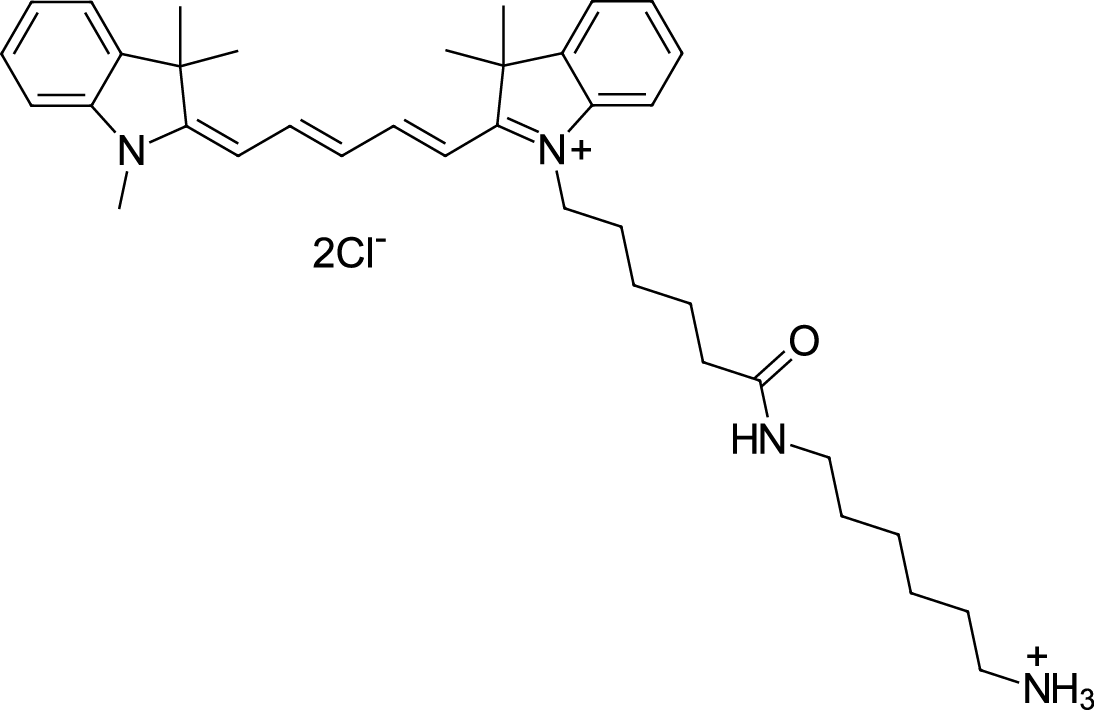 Cyanine5 amine图片