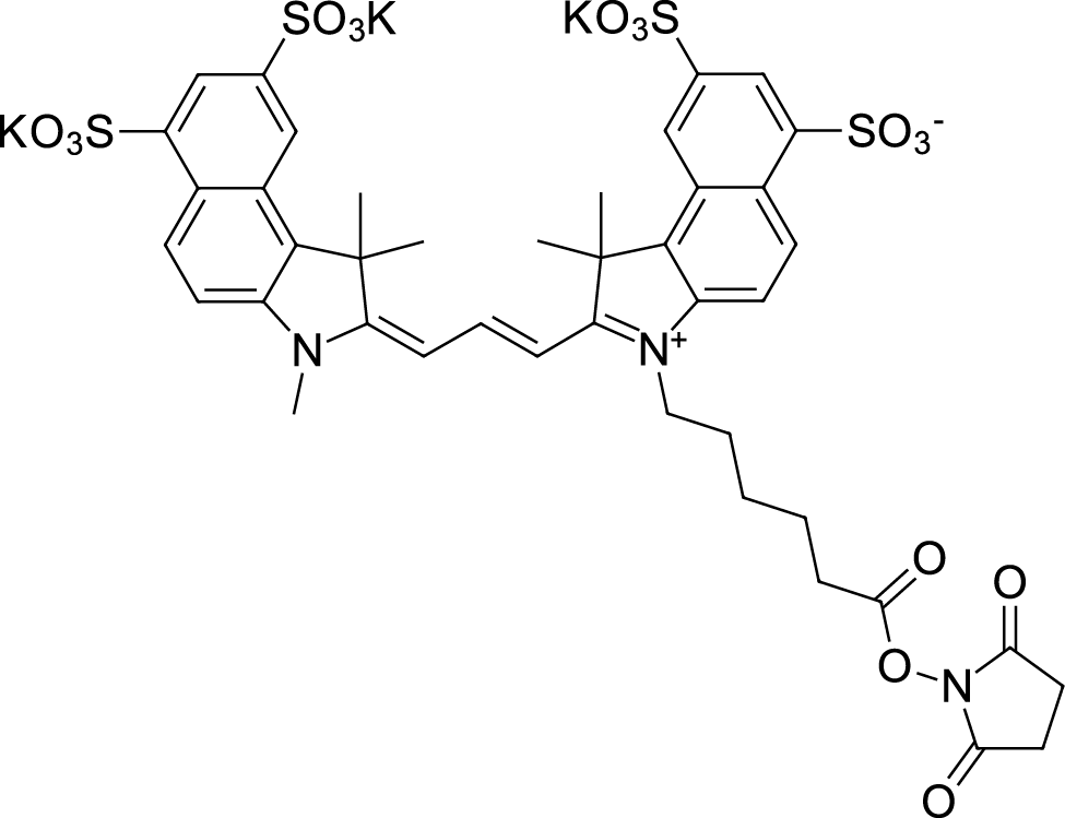 Sulfo-Cyanine3,5 NHS ester图片