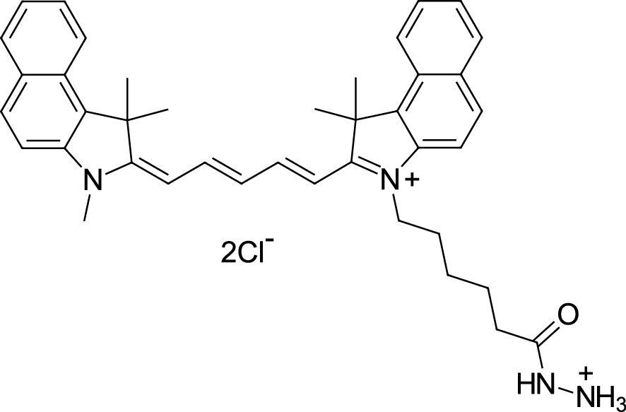 Cyanine5,5 hydrazide图片