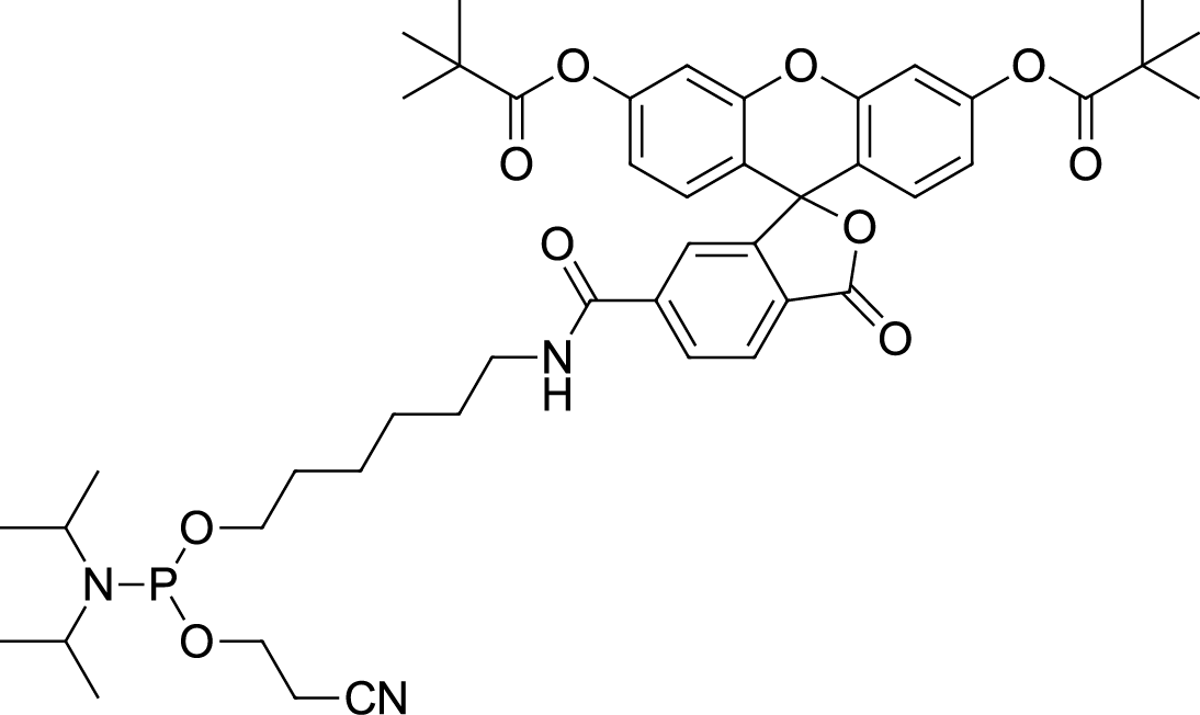 FAM Phosphoramidite,6-Isomer图片