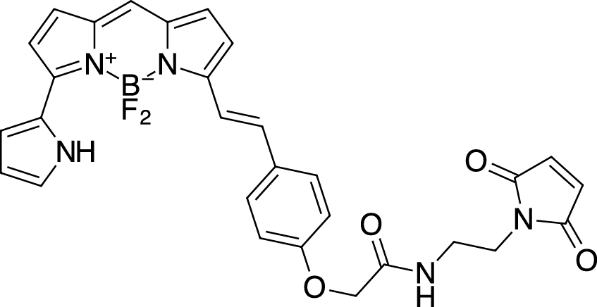BDP 650/665 maleimide图片