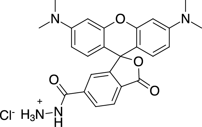 TAMRA hydrazide,6-isomer图片