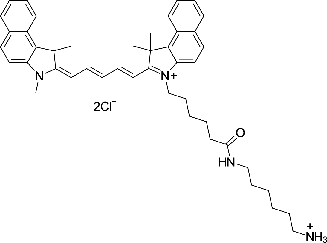 Cyanine5,5 amine图片