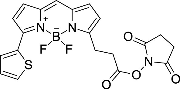 BDP 558/568 NHS ester图片