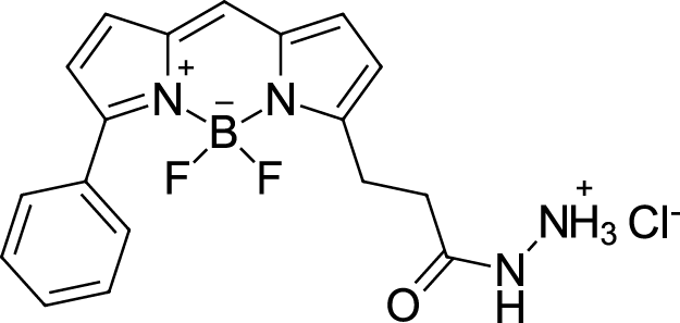 BDP R6G hydrazide图片